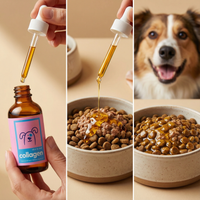 Premium Pet Collagen Drops