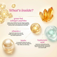 Premium Pet Collagen Drops